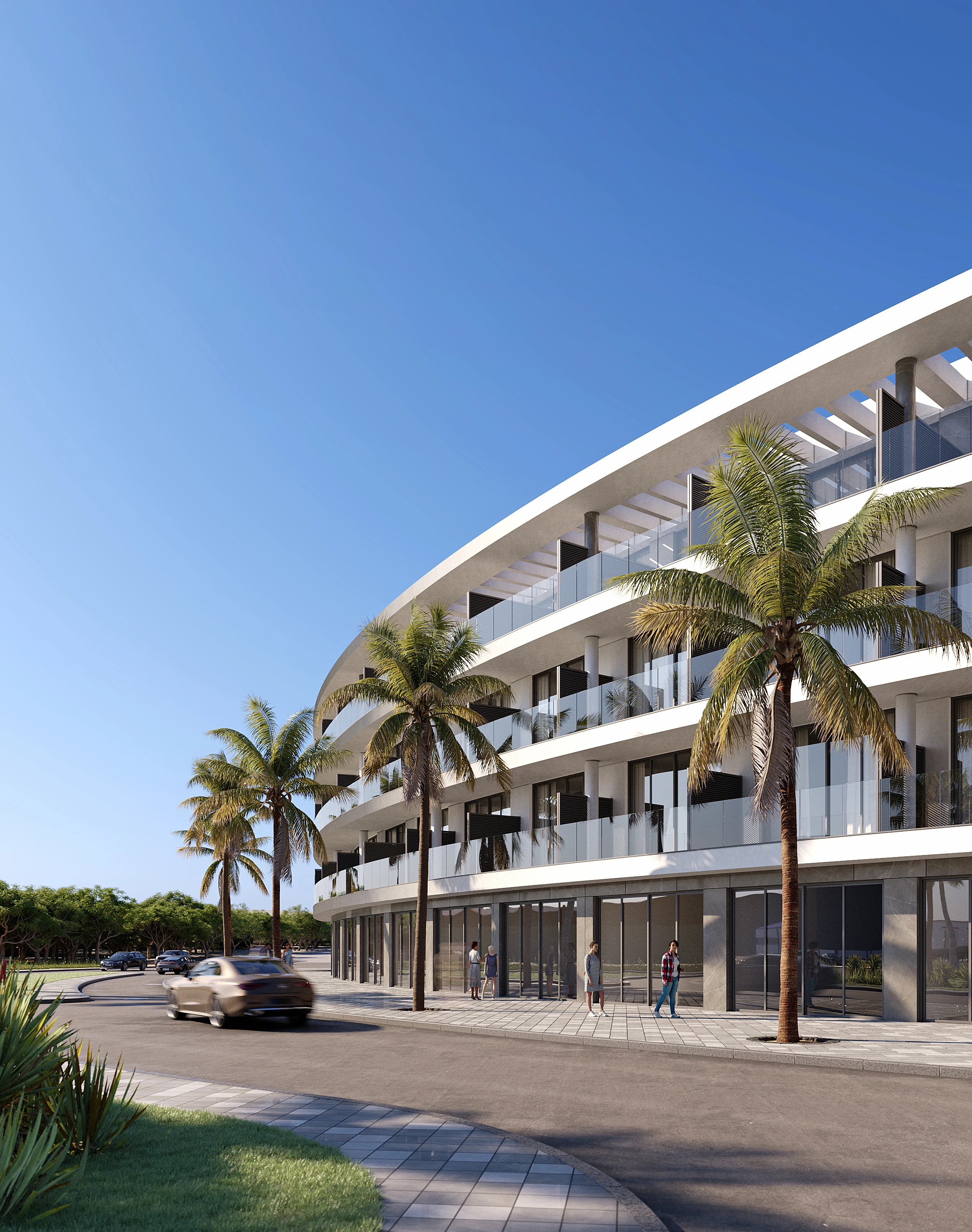 Barbate curated opportunity